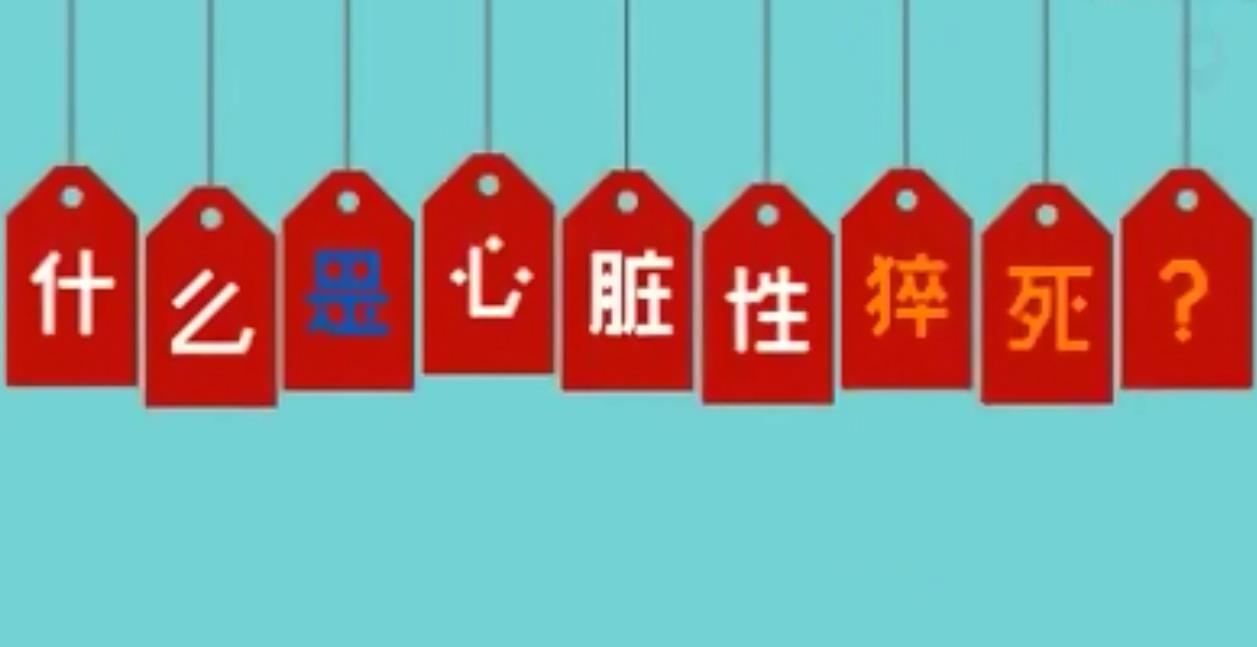 &#80;&#71;&#30005;&#23376;